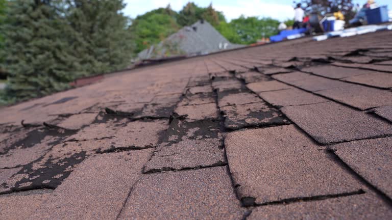 Best Roof Maintenance and Cleaning  in Stanberry, MO