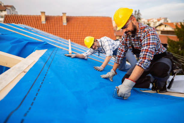 Best Roof Ventilation Installation  in Stanberry, MO